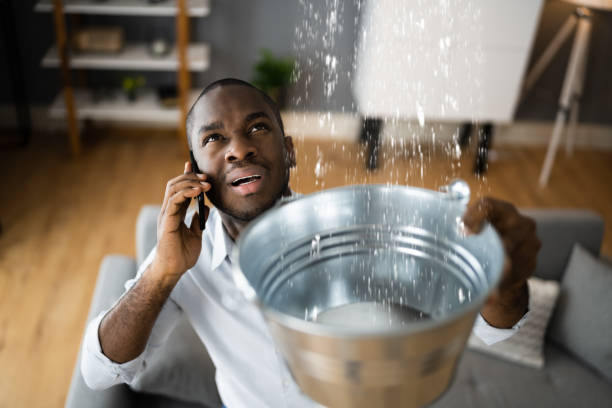 Best Professional water damage repair  in Beeville, TX