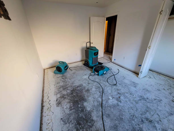 Best Flood damage cleanup  in Beeville, TX
