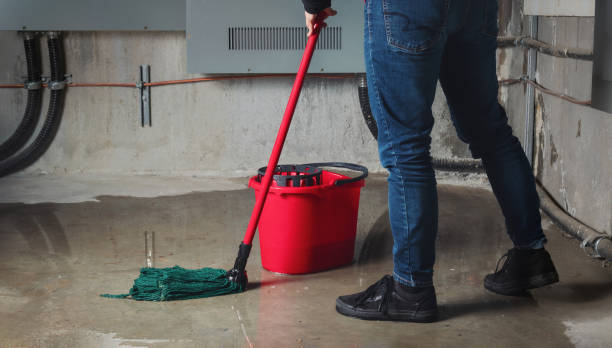 Best Sewage cleanup and water damage restoration  in Beeville, TX