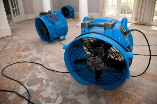 Best Commercial water damage restoration  in Beeville, TX