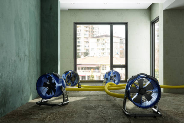 Best 24/7 water damage repair  in Beeville, TX